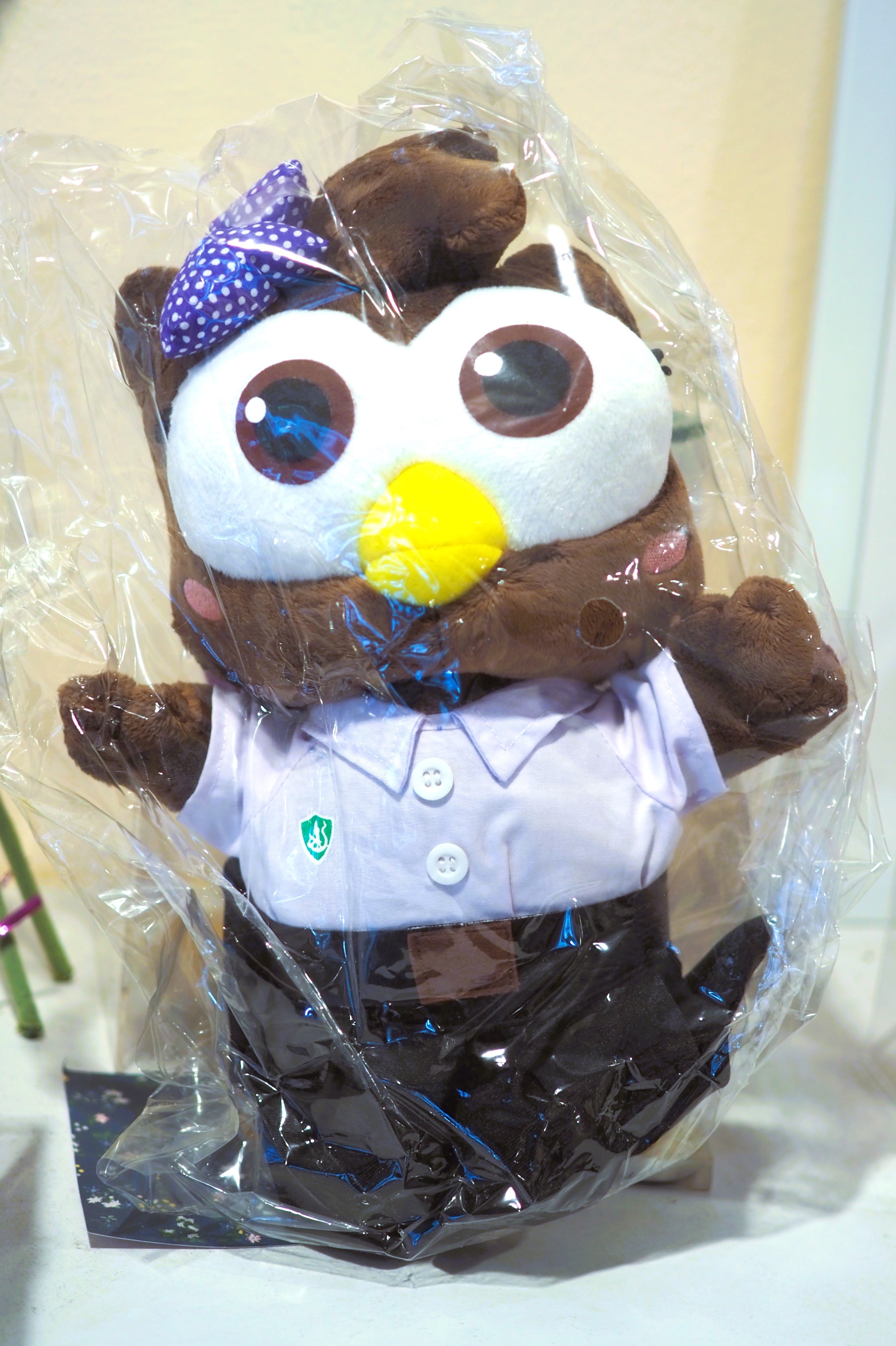 ตุ๊กตานกฮูกหญิง (ชุดนิสิต)